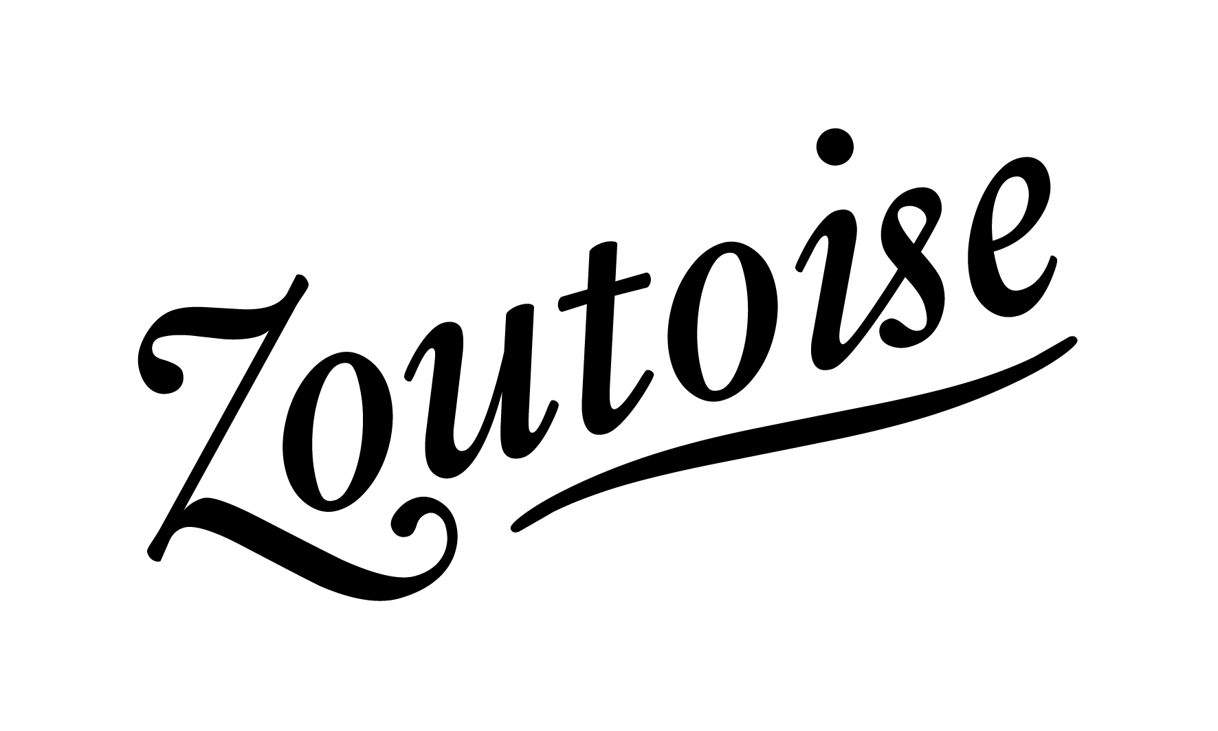 Zoutoise Logo 04